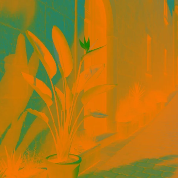 Frame 8